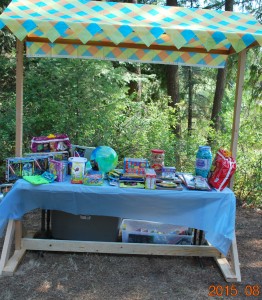 2015-08-15 Prize table at annual picnic 02